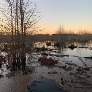 Meet your Posher, Connor